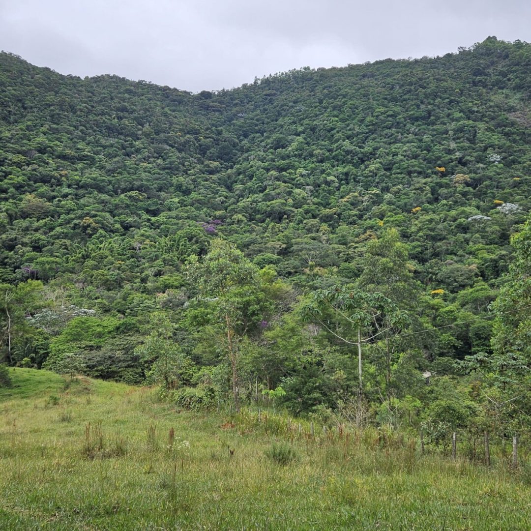 2024-2025_ONG_Projetos_PORT_Geral (2)_page-0001